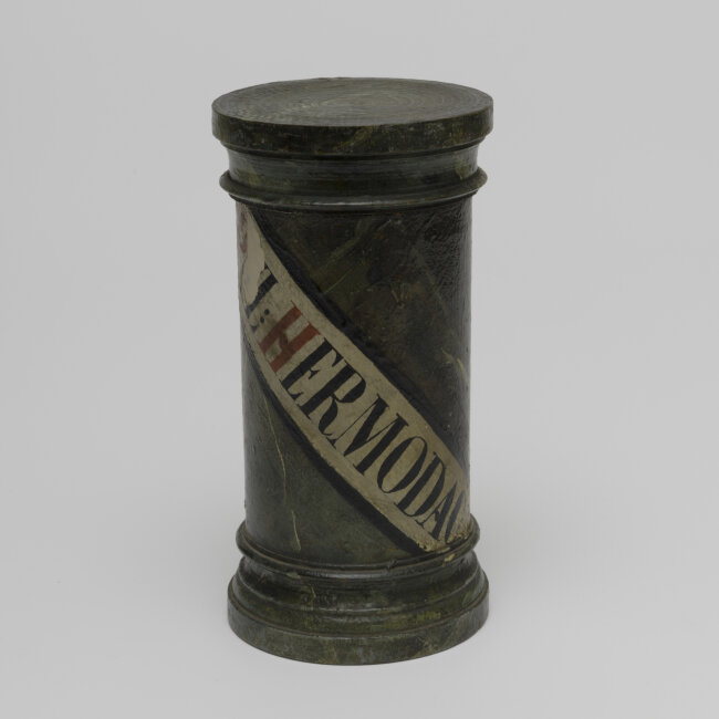 Kořeny, oddenky a hlízy